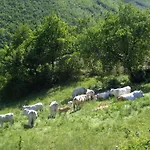 Villa Colticciola Agriturismo Marche 카글리