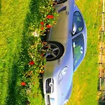 팜스테이 Villa Colticciola Agriturismo Marche *