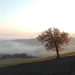 Villa Colticciola Agriturismo Marche