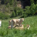 팜스테이 Villa Colticciola Agriturismo Marche 카글리