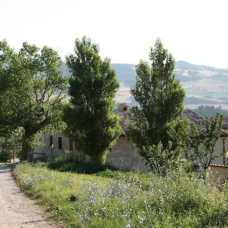 Colticciola Marche