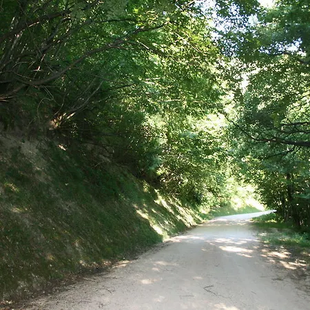 Colticciola Marche * Cagli