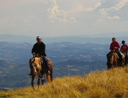Colticciola Marche Farmház