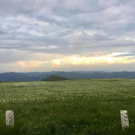 Villa Colticciola Agriturismo Marche