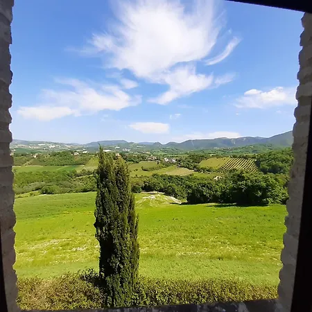 Farm stay Villa Colticciola Agriturismo Marche