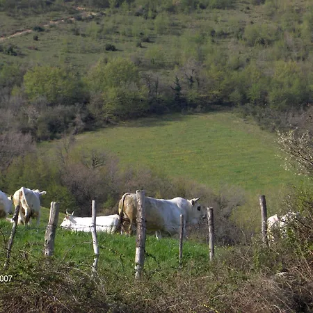 Villa Colticciola Agriturismo Marche