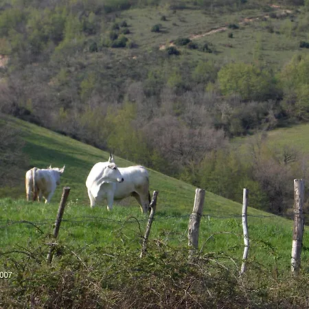 Villa Colticciola Agriturismo Marche Farm stay Cagli