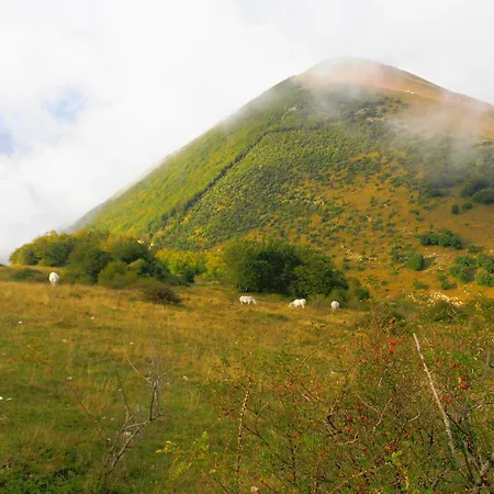 Farm stay Villa Colticciola Agriturismo Marche *