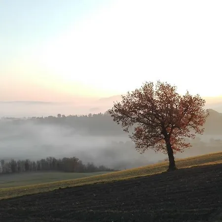 Villa Colticciola Agriturismo Marche