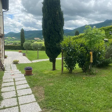 Colticciola Marche