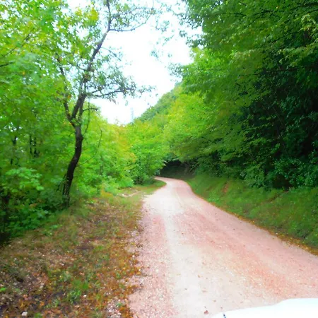 Appartamento Colticciola Agriturismo Marche Cagli