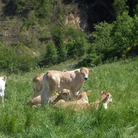 Vakantieboerderij Colticciola Marche Cagli