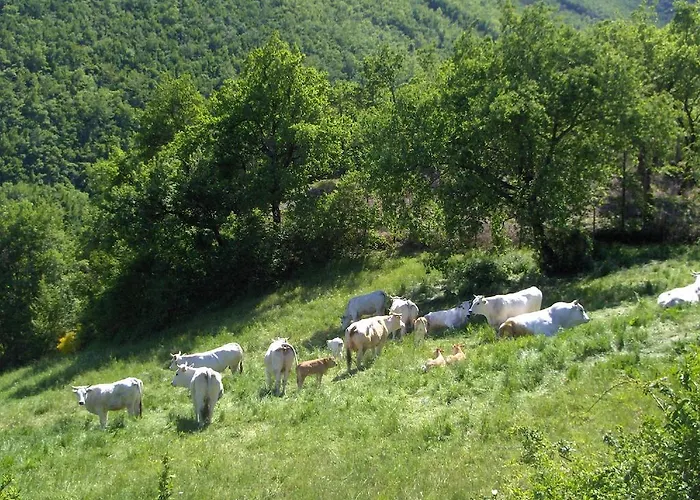 Villa Colticciola Agriturismo Marche Cagli