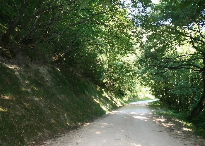 Villa Colticciola Agriturismo Marche * Cagli