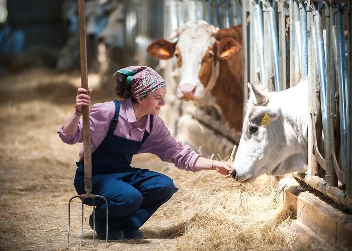 Lantgård Villa Colticciola Agriturismo Marche *