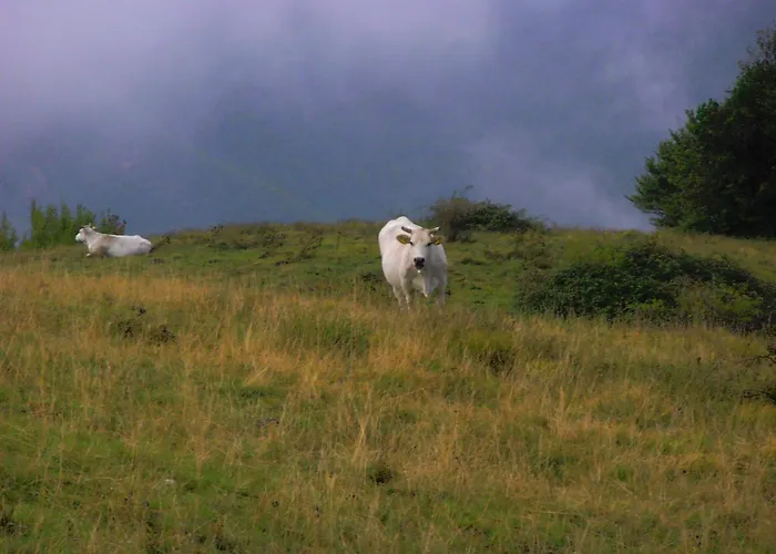 Villa Colticciola Agriturismo Marche Cagli