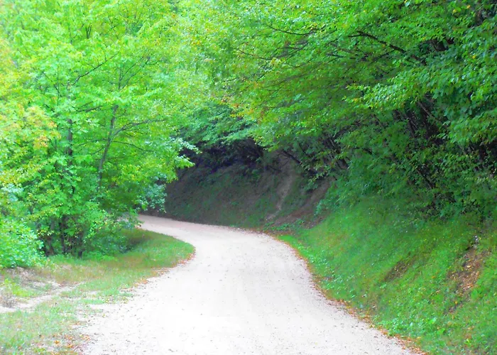 Villa Colticciola Agriturismo Marche *