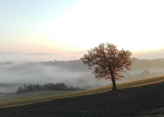 Villa Colticciola Agriturismo Marche