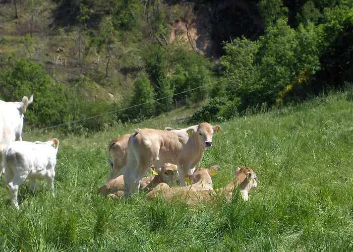 Vakantieboerderij Villa Colticciola Agriturismo Marche Cagli